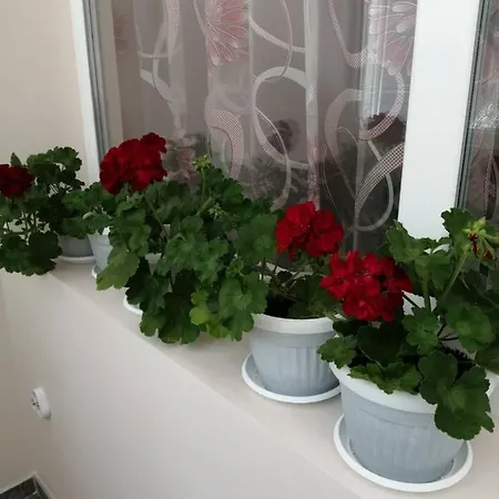 в сърцето на очаква прекрасен и просторен شقة فارنا