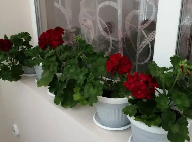 в сърцето на очаква прекрасен и просторен Apartament Warna